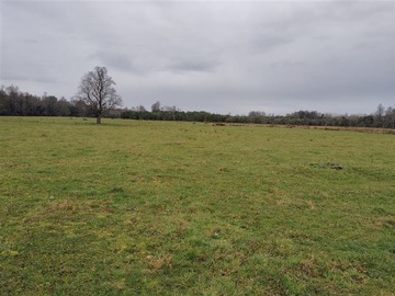 Venta / Terreno Agricola / Río Negro