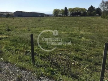 Venta / Terreno Agricola / Romeral