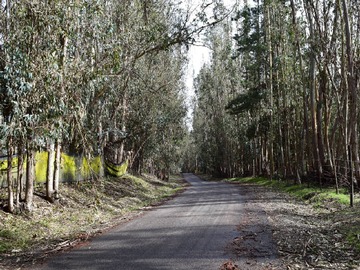 Imagen 12