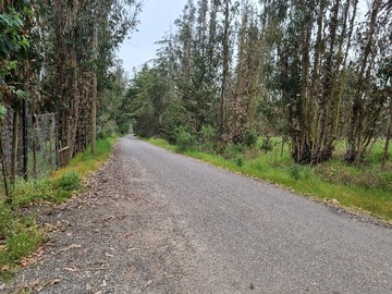 Venta / Terreno Agricola / San Antonio