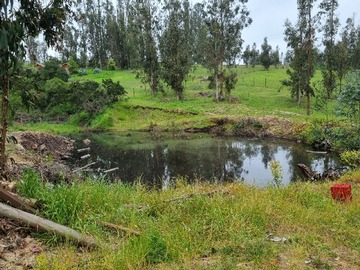 Imagen 26