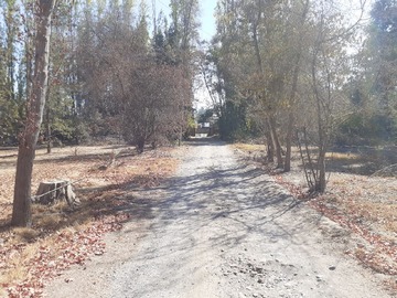 Venta / Terreno Agricola / San Bernardo