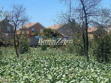 Venta / Terreno Agricola / San Bernardo