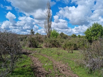 Imagen 13