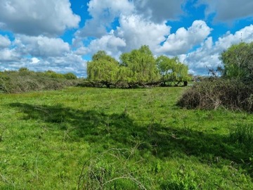 Imagen 4