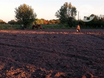 Imagen 9