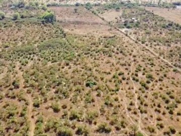 Venta / Terreno Agricola / San Carlos