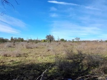 Venta / Terreno Agricola / San Carlos