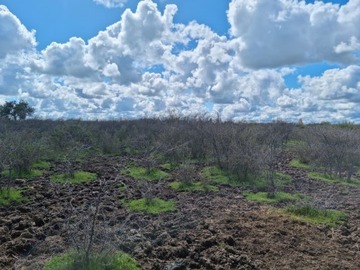 Imagen 9