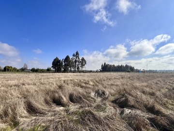 Venta / Terreno Agricola / San Clemente