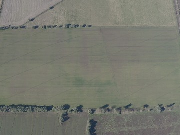 Venta / Terreno Agricola / San Clemente