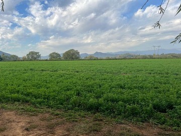 Venta / Terreno Agricola / San Clemente