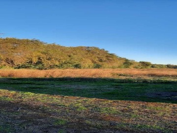 Imagen 7