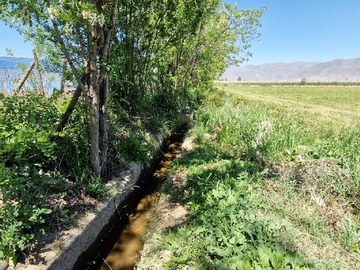 Venta / Terreno Agricola / San Felipe