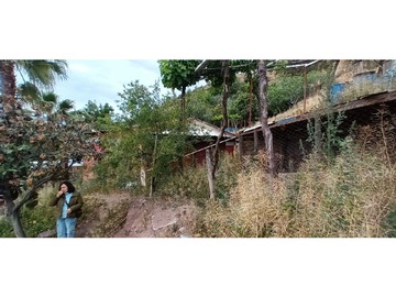Imagen 22