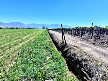 Venta / Terreno Agricola / San Felipe