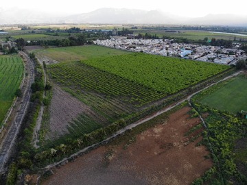 Venta / Terreno Agricola / San Felipe