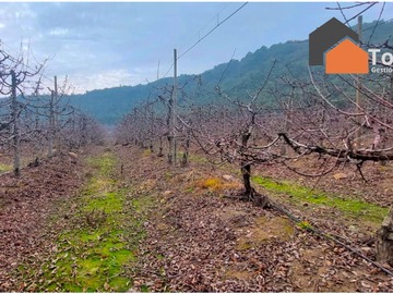 Venta / Terreno Agricola / San Fernando