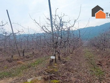 Venta / Terreno Agricola / San Fernando