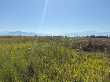 Venta / Terreno Agricola / San Fernando