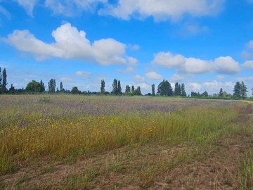 Venta / Terreno Agricola / San Ignacio