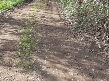 Imagen 9