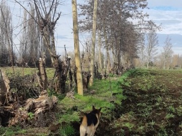Imagen 8