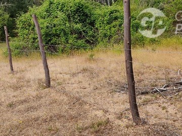Imagen 8