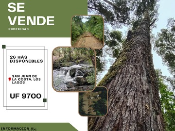 Venta / Terreno Agricola / San Juan de la Costa