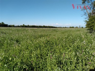 Venta / Terreno Agricola / San Nicolás