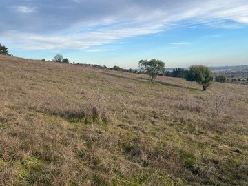 Venta / Terreno Agricola / San Nicolás