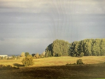 Venta / Terreno Agricola / San Pablo