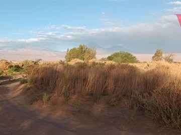 Venta / Terreno Agricola / San Pedro de Atacama