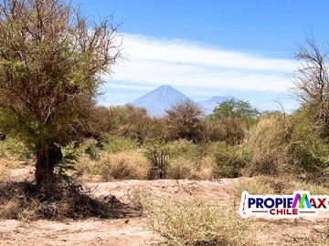 Venta / Terreno Agricola / San Pedro de Atacama