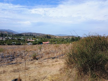 Imagen 12