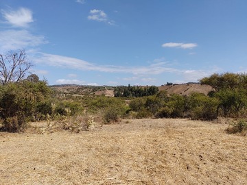 Imagen 14