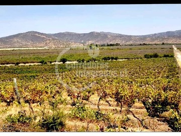 Imagen 6