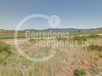 Venta / Terreno Agricola / San Pedro