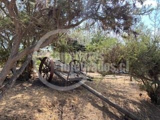 Venta / Terreno Agricola / San Pedro