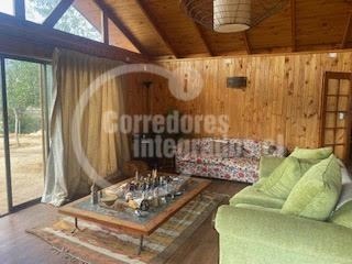 Imagen 11