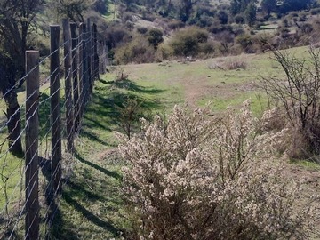 Imagen 9