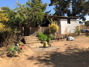 Venta / Terreno Agricola / San Pedro
