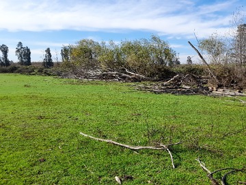 Venta / Terreno Agricola / San Rafael