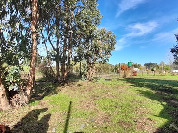 Venta / Terreno Agricola / San Rafael