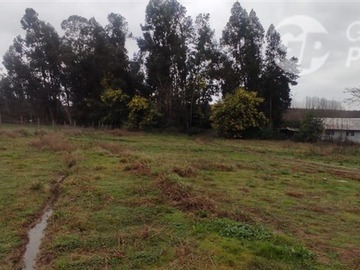 Imagen 13