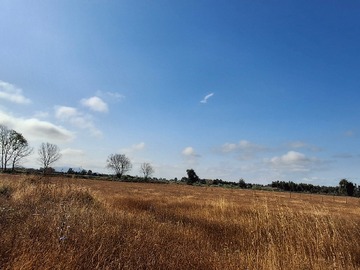 Venta / Terreno Agricola / San Rafael