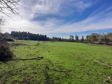 Venta / Terreno Agricola / San Rafael