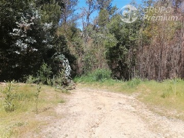 Venta / Terreno Agricola / Santa Juana
