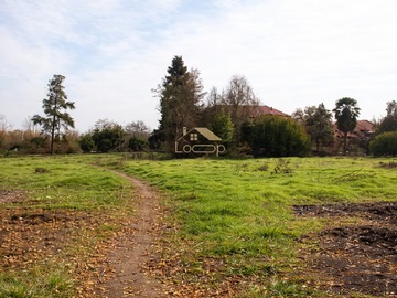 Venta / Terreno Agricola / Santiago