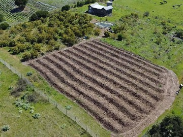 Venta / Terreno Agricola / Santo Domingo